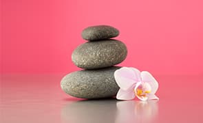 פאן בספא וארוחת יחיד