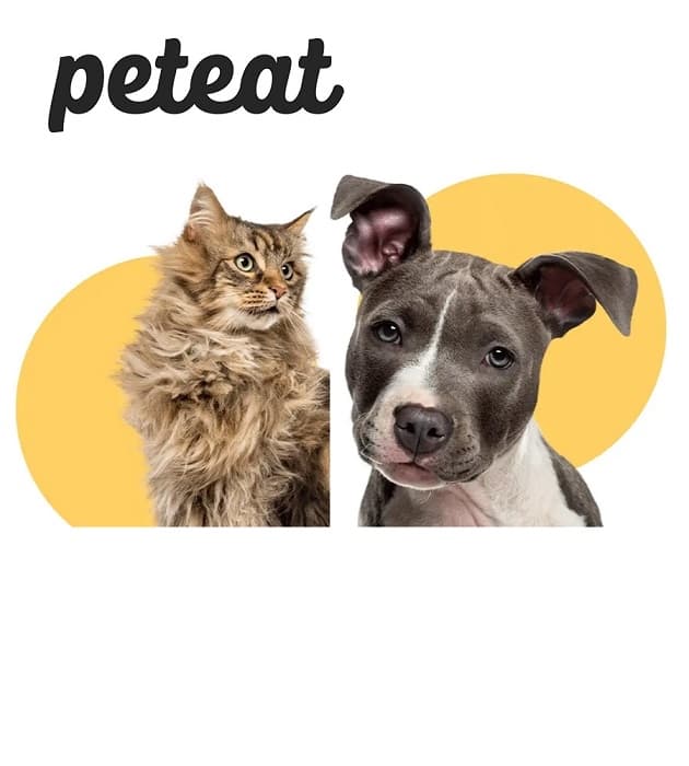 זיכוי כספי למימוש ברשת PETEAT